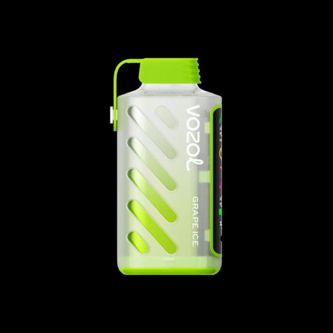VOZOL GEAR 20000 Grape Ice