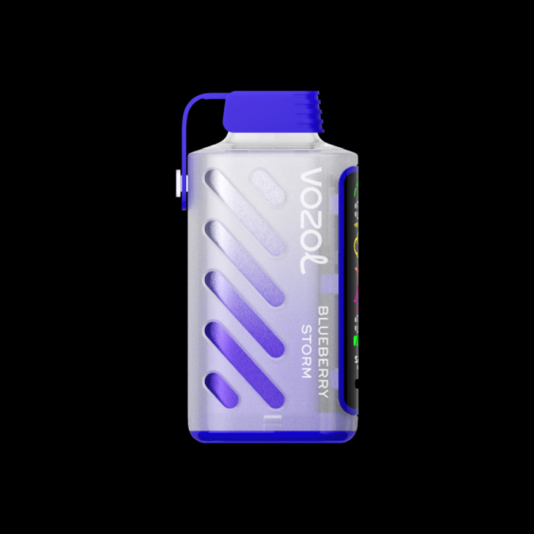 VOZOL GEAR 20000 Blueberry Storm