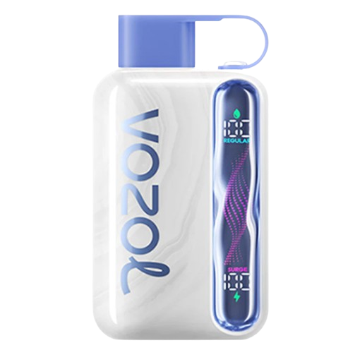 VOZOL STAR 40000 Blueberry Watermelon