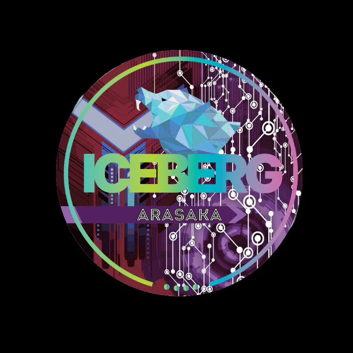 ICEBERG Arasaka