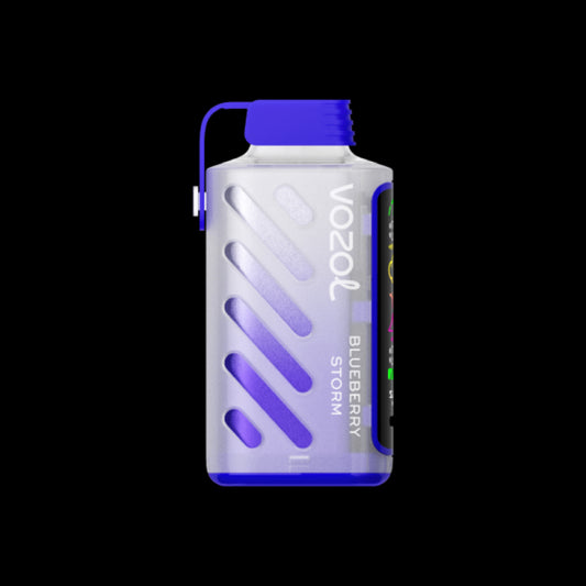 VOZOL GEAR 20000 Blueberry Storm