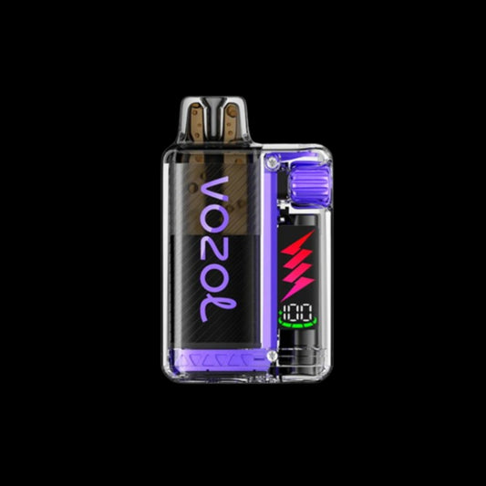 VOZOL VISTA PLUG 10000 Grape Ice
